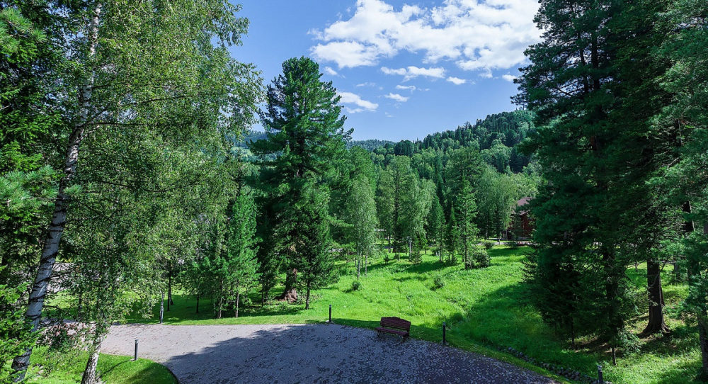Cosmos Collection Altay Resort